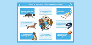 como ayudar a educacion basica de perros