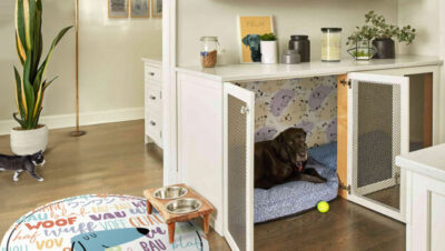 como organizar espacios comodos para mascotas