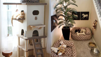 como organizar un rincon de juego para mascotas