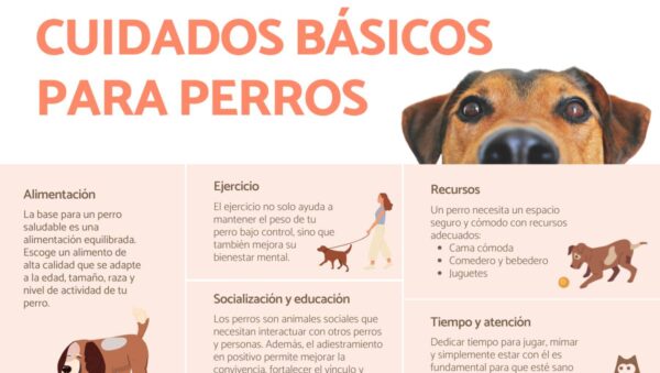 consejos para convivencia con cachorros
