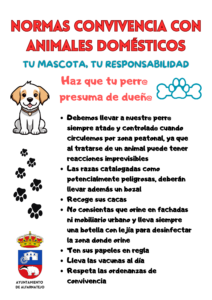 consejos para convivencia en apartamentos para tu mascota
