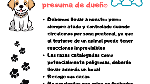 consejos para convivencia en apartamentos para tu mascota