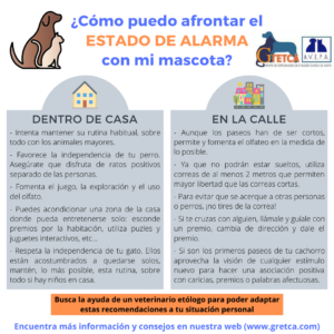 consejos para evitar fallos en educacion basica para tu mascota