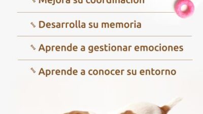 consejos para juegos activos con mascotas