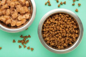 errores comunes al alimentar a tu mascota