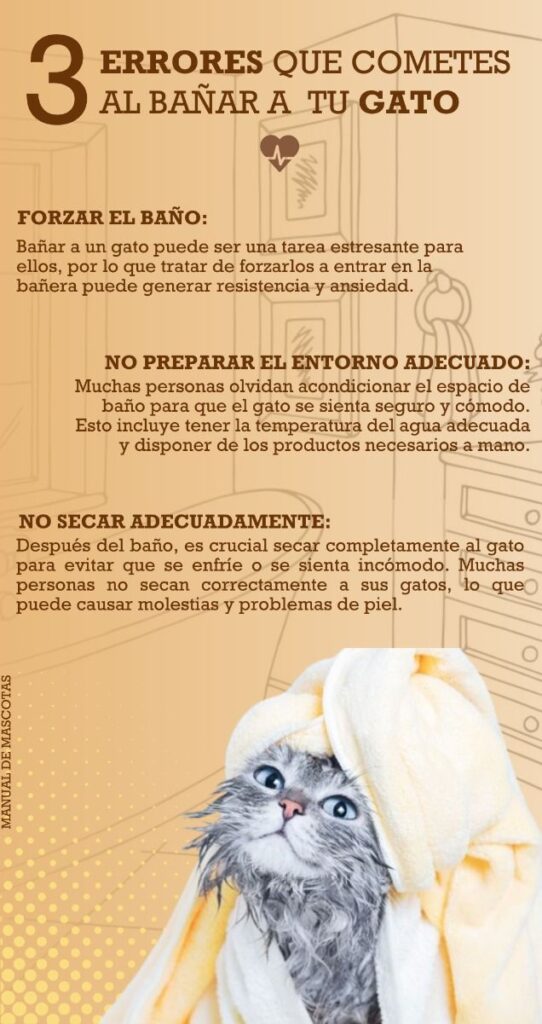 Errores comunes al bañar a tu gato 1 errores comunes al banar a tu gato