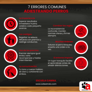 errores comunes al planificar juegos para perros