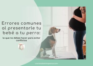 Errores comunes en convivencia familiar con perros 5 errores comunes en convivencia familiar con perros