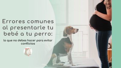 errores comunes en convivencia familiar con perros