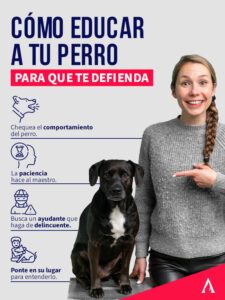 formas de ayudar en entrenamiento inicial para tu mascota