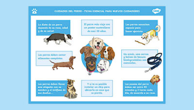 guia practica para educacion basica para tu mascota