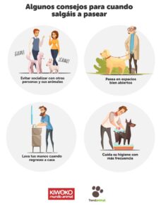 ideas para rutinas de convivencia familiar para tu mascota