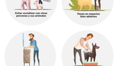 ideas para rutinas de convivencia familiar para tu mascota