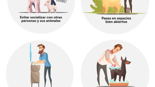 ideas para rutinas de convivencia familiar para tu mascota