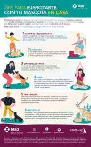 ideas para rutinas divertidas para tu mascota