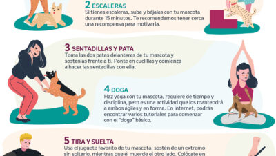 ideas para rutinas divertidas para tu mascota
