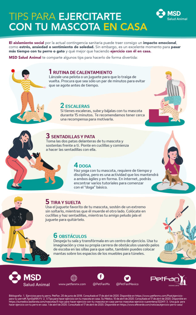 Ideas para rutinas divertidas para tu Mascota 1 ideas para rutinas divertidas para tu mascota