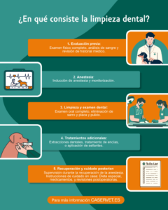 pasos para higiene dental basica en perros