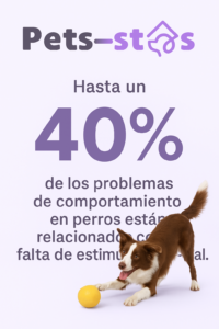 por que la estimulacion mental es clave en casa para tu mascota