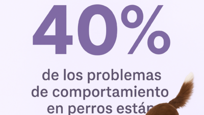 por que la estimulacion mental es clave en casa para tu mascota