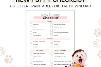 que hacer en rutinas diarias de cachorros