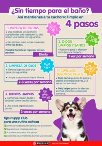 recomendaciones para higiene semanal en animales