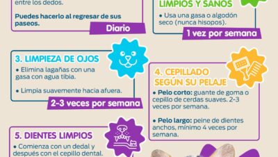recomendaciones para higiene semanal en animales