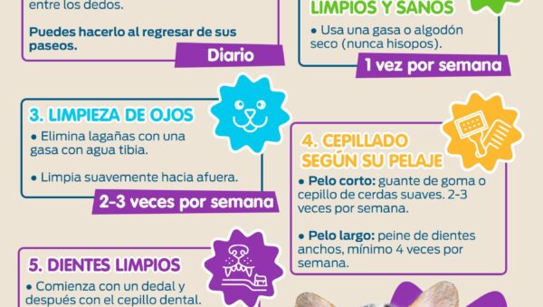 recomendaciones para higiene semanal en animales