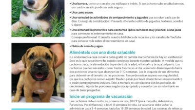 tips para espacio seguro de cachorros